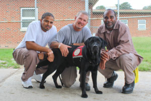 Three ABEL trainers squatting around a black dog in vest
