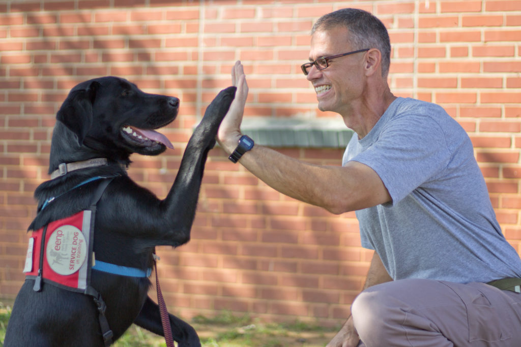 man and black lab giving each other a high five