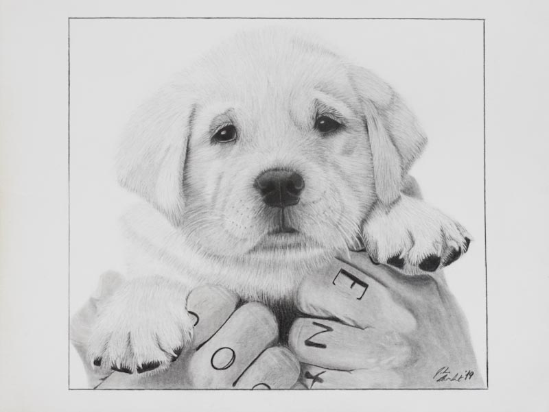 charcoal and pencil drawing of a puppy being held in hands. The fingers have letters tattoed on them.