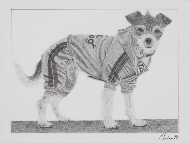 charcoal and pencil drawing of a terrier mix dog in a track suit